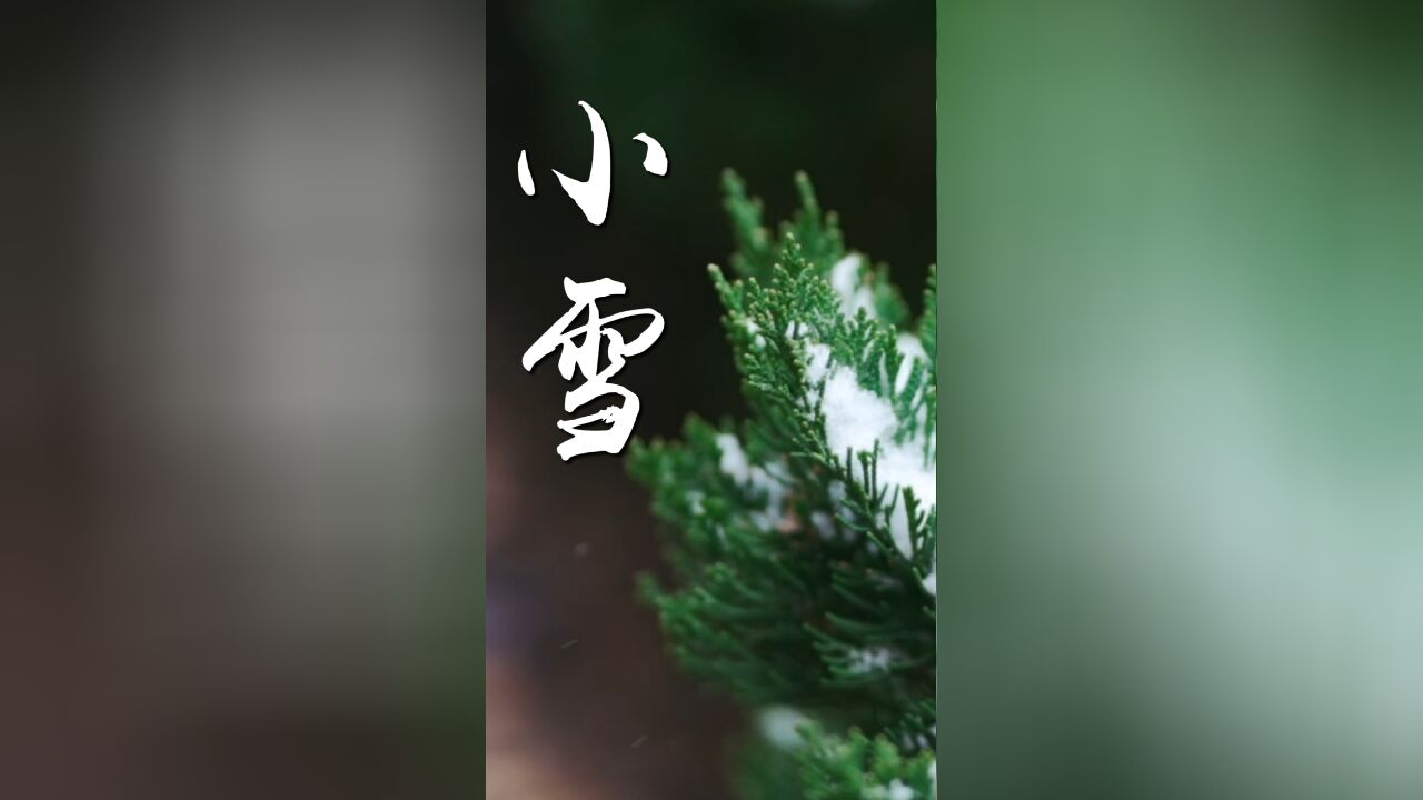 今日小雪 | 愿你每一天 都能感受温暖