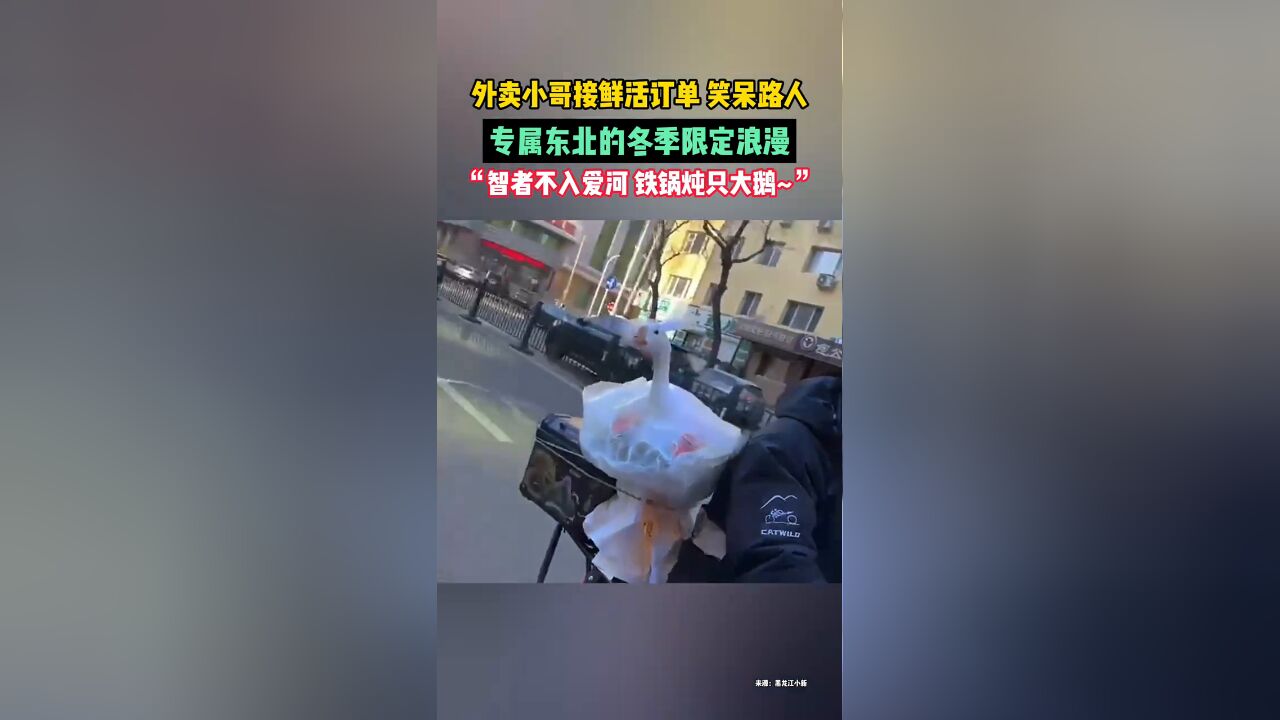 外卖小哥接鲜活订单,笑呆路人.