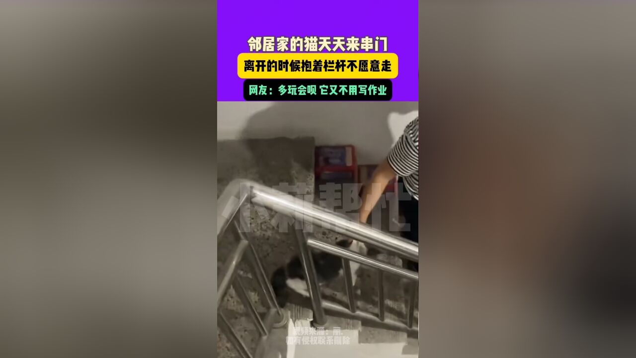 11月21日制作发布,邻居家的猫天天来找自己家的猫玩,串完门抱着栏杆不愿意走!网友:不走就不走吧,反正它不需要做作业!