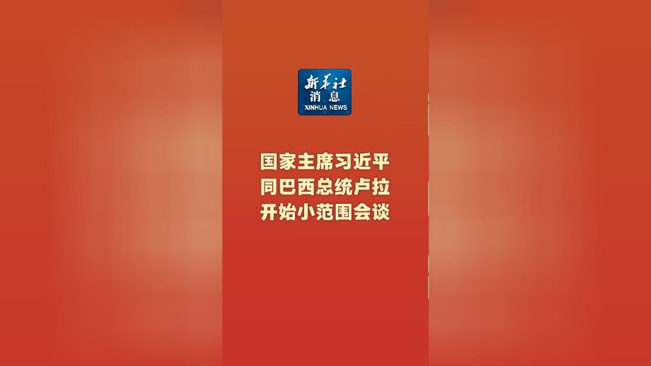 新华社消息|国家主席习近平同巴西总统卢拉开始小范围会谈