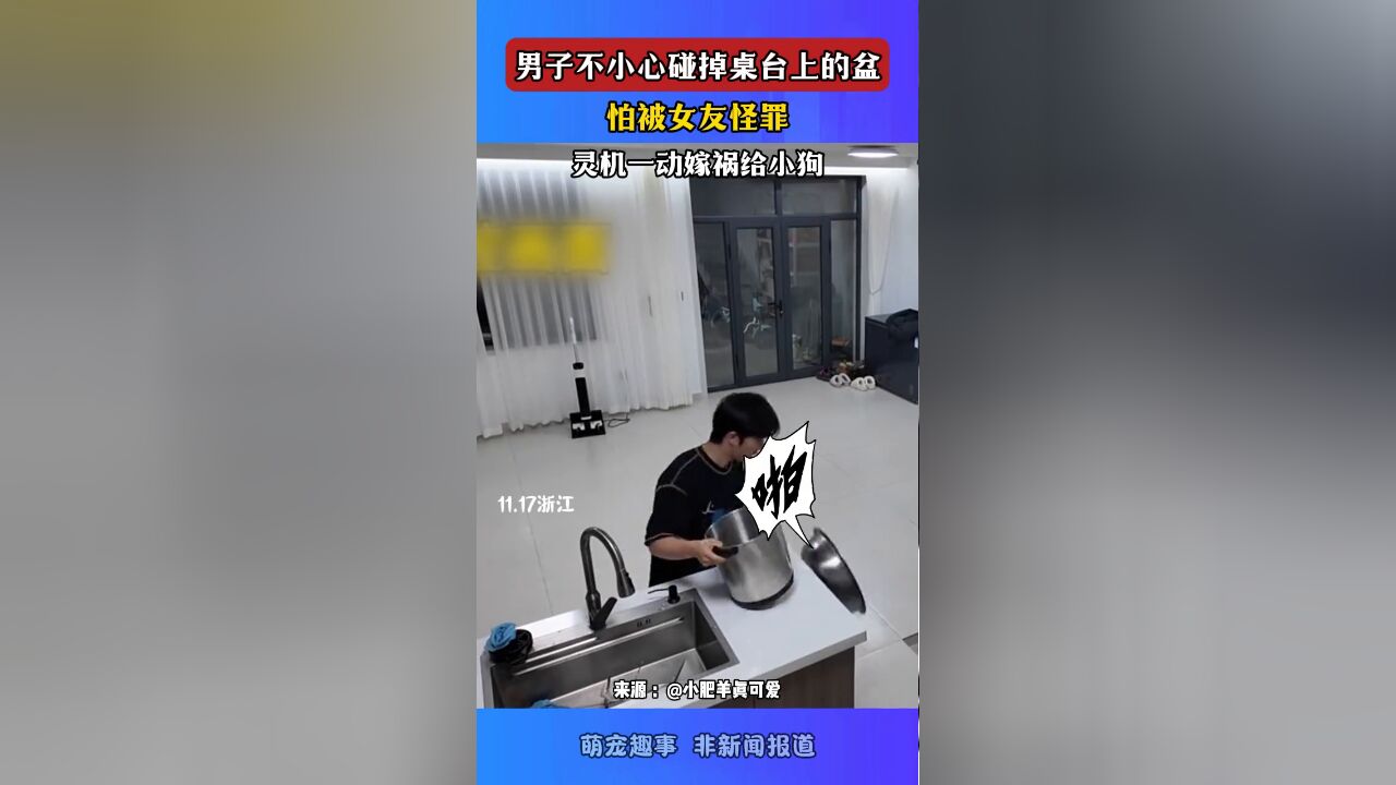 男子不小心碰掉桌台上的盆,怕女友怪罪,灵机一动嫁祸给小狗