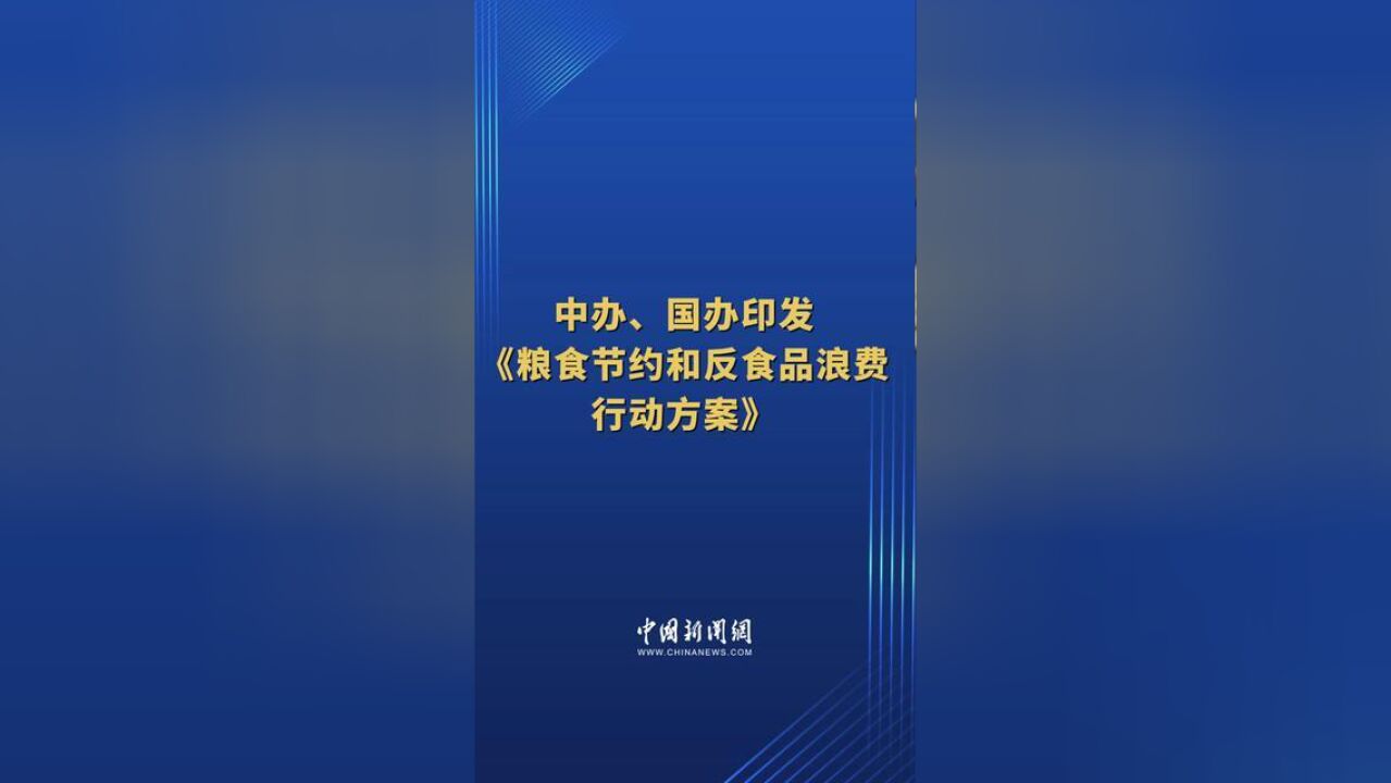 中办、国办印发粮食节约和反食品浪费行动方案