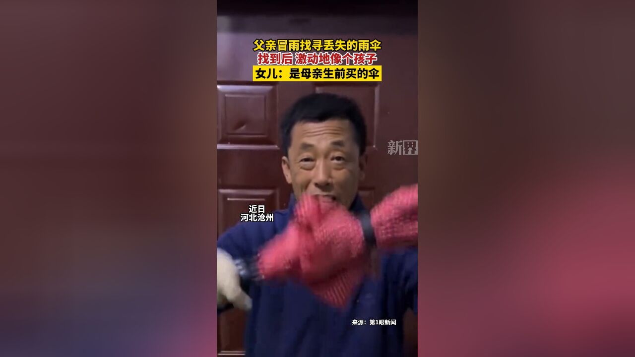 父亲冒雨找丢失的伞 找到后激动地像个孩子 女儿:母亲生前买的