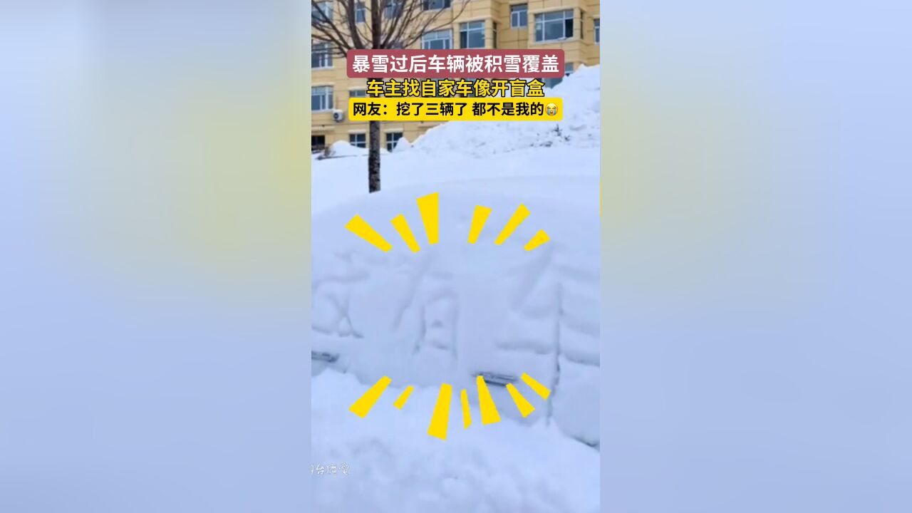 暴雪过后,找自家车像开盲盒,车主们都开始了“挖呀挖呀挖”