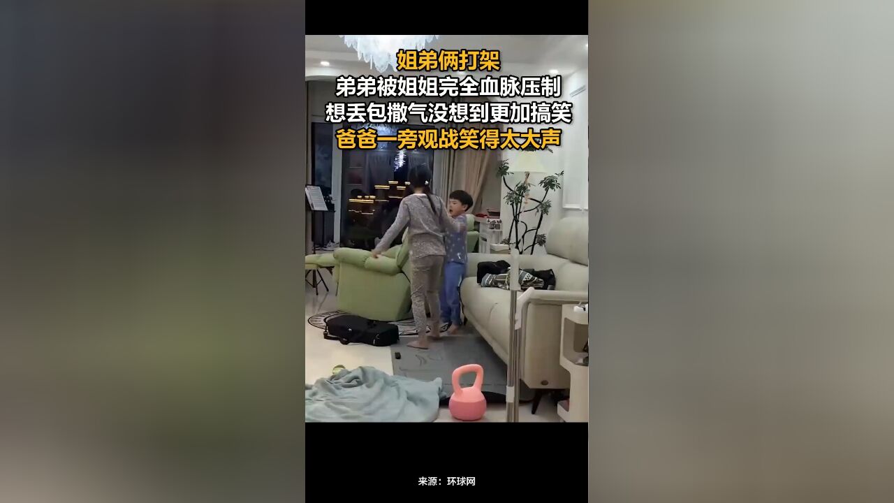 姐弟俩打架,弟弟被姐姐完全血脉压制,想丢包撒气没想到更加搞笑