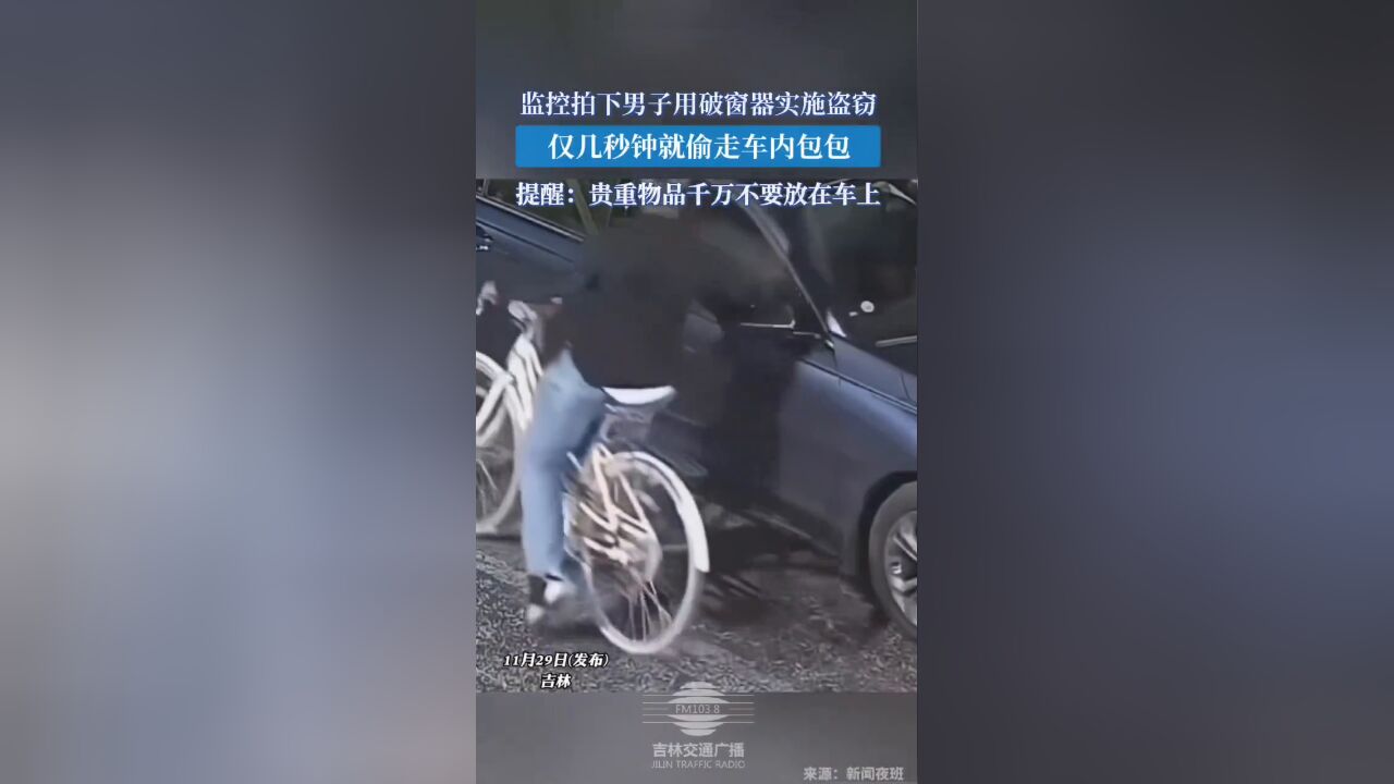 监控拍下男子用破窗器实施盗窃,仅几秒钟就偷走车内包包