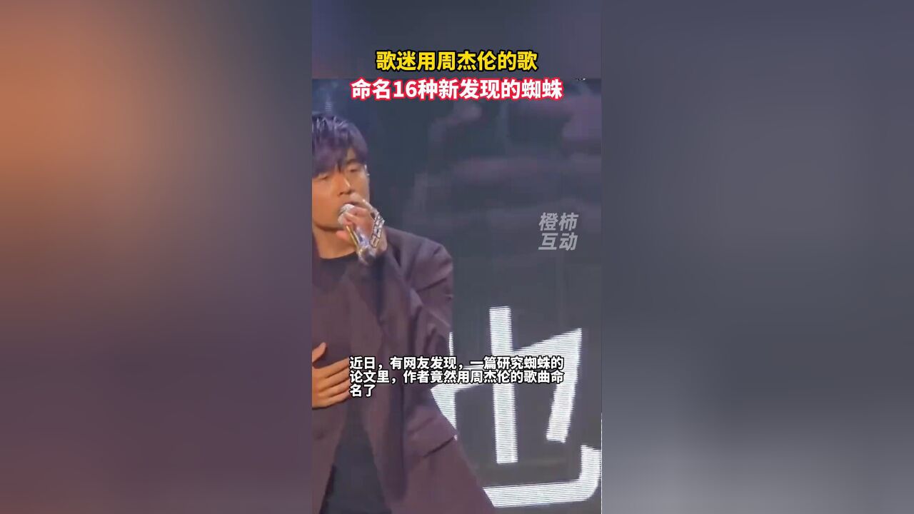 歌迷用周杰伦的歌,命名16种新发现的蜘蛛