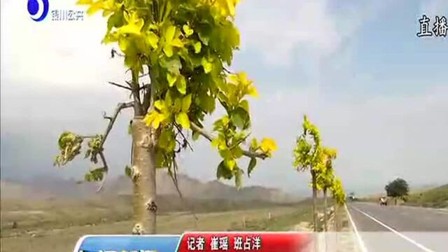 路政 严禁公路放牧 今后将加大路巡路查力度