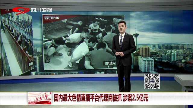 国内最大色情直播平台代理商被抓 涉案2.5亿元