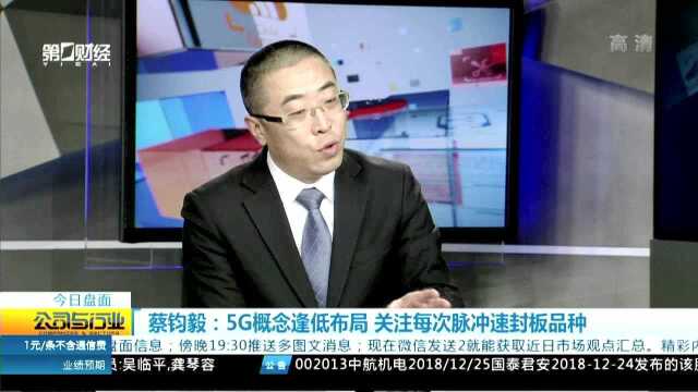 蔡钧毅:5G概念逢低布局 关注每次脉冲速封板品种