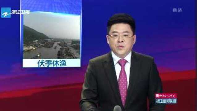 浙江:明起东海全面休渔 渔船回港保养维修