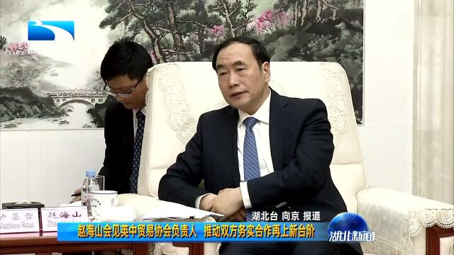 赵海山会见英中贸易协会负责人 推动双方务实合作再上新台阶