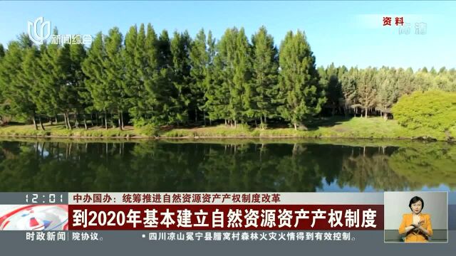 中办国办:统筹推进自然资源资产产权制度改革 到2020年基本建立自然资源资产产权制度