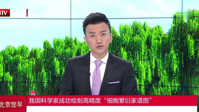 我国科学家成功绘制高精度“细胞繁衍家谱图”