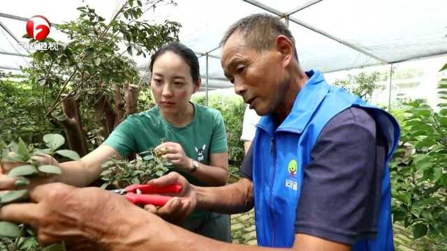 加强改革创新 努力闯出新路 《人民日报》刊发李锦斌李国英署名文章