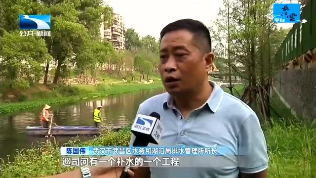 武汉巡司河基本消除黑臭水体