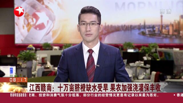 江西赣南:十万亩脐橙缺水受旱 果农加强浇灌保丰收