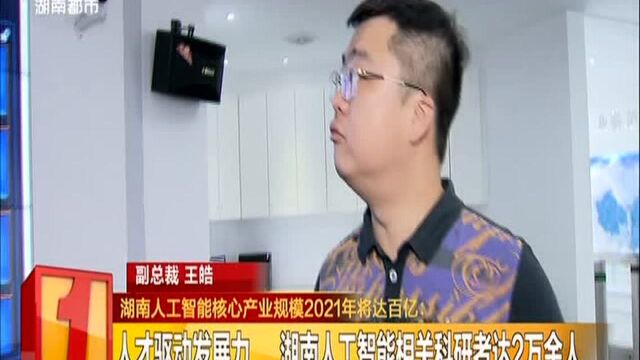 湖南人工智能核心产业规模2021年将达百亿:人才驱动发展力 湖南人工智能相关科研者达2万余人