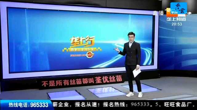 网络主播带粉丝酒吧狂欢 次日酒驾被抓