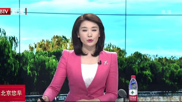 热带雨林深处都有啥 记者带你一探究竟