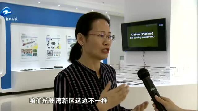 学榜样 践初心 宁波杭州湾新区投资合作局——招商引资交出完美答卷