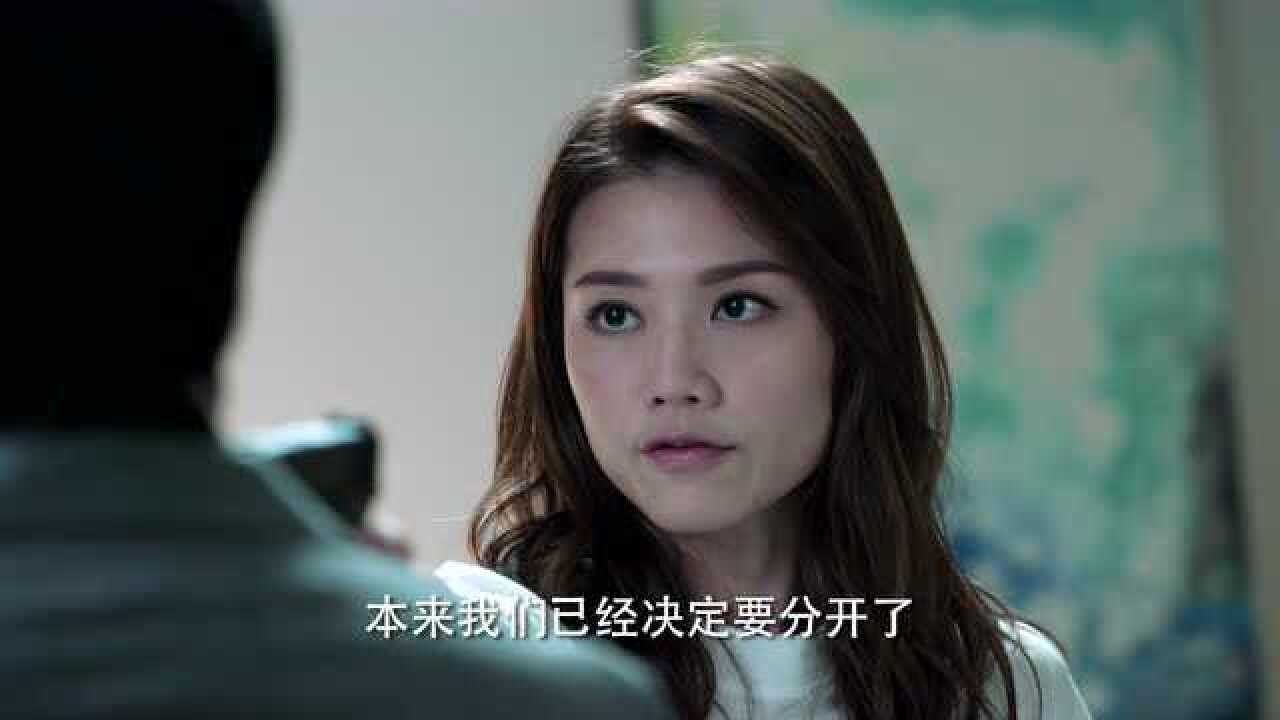 《战毒[粤语版]》第29集精彩片花