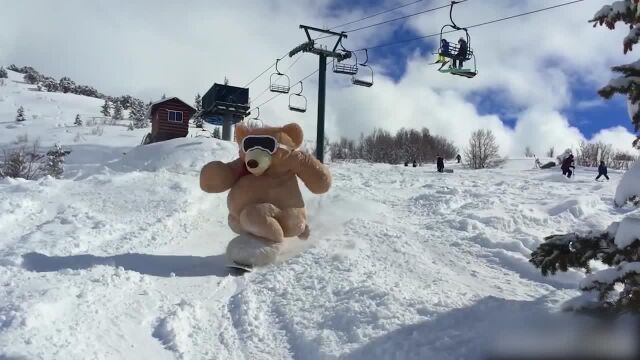 萌翻了的萌熊滑雪合集 单板翻转跳跃样样在行