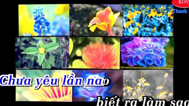 Duy㪮 Phận  Tone Nam