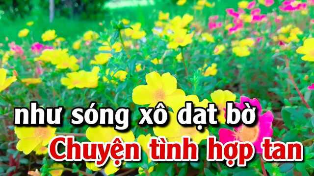 Thuyền Xa Bến 䐡𛗠 Tone Nữ Rumba