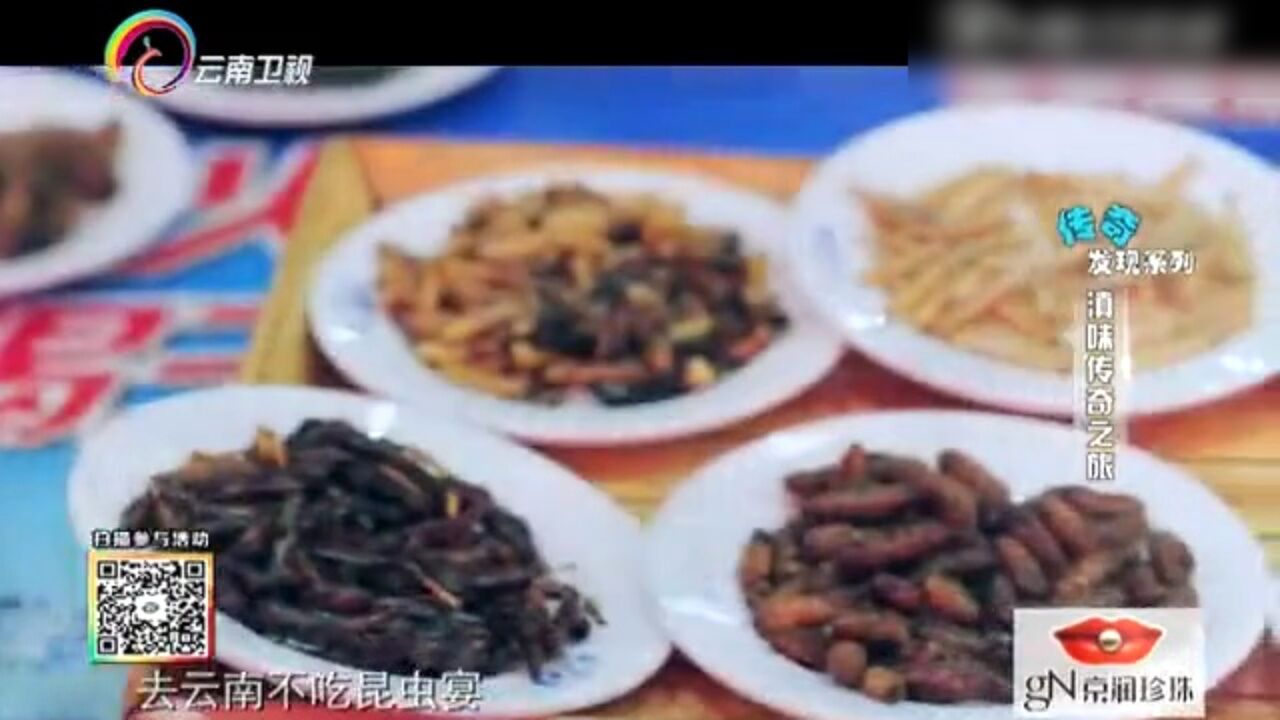 你是我的旅伴:滇味传奇之旅