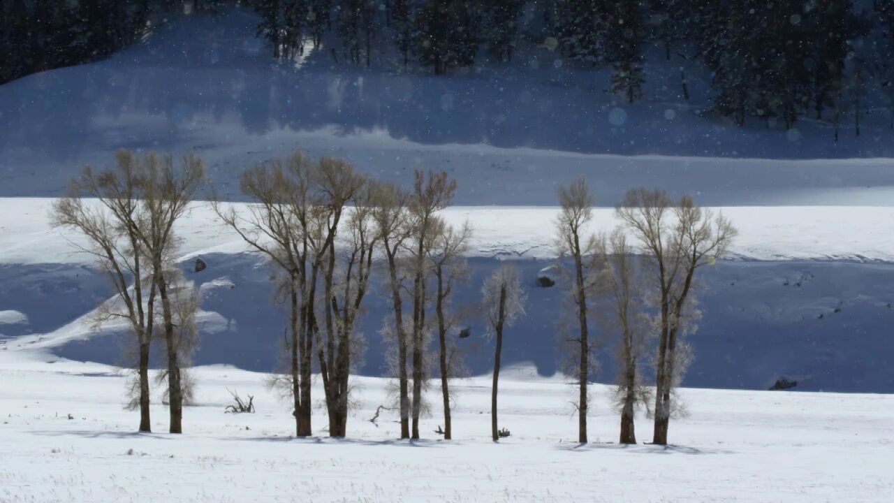 美轮美奂的雪景仿佛置身仙境