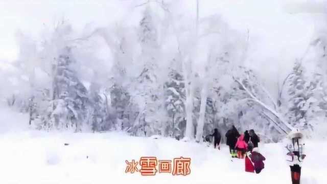 北方下雪南方艳阳天 中国雪乡风景区