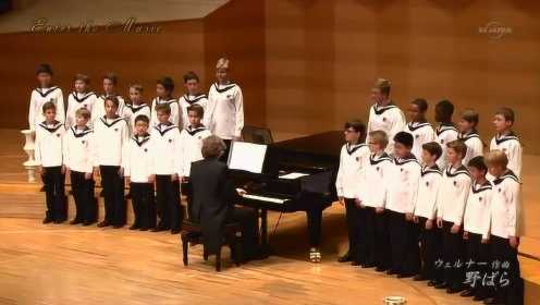 维也纳童声合唱团《野玫瑰》喜欢他们的歌唱