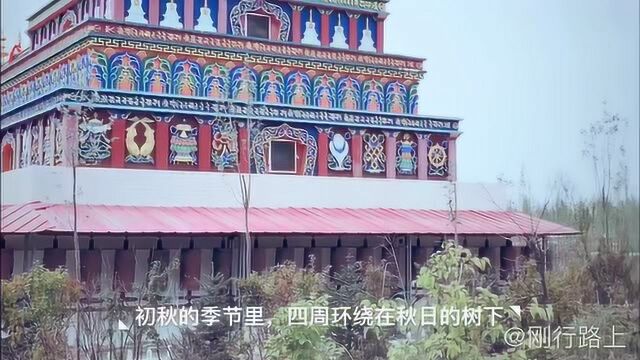 走进海西德令哈,一棵树扎西曲林寺