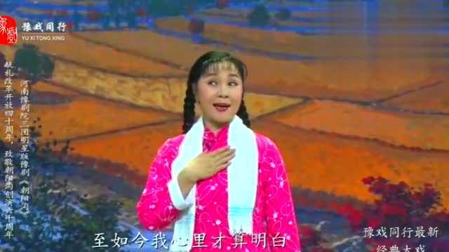 豫剧名家杨红霞演唱经典豫剧《朝阳沟》选段,名家唱段就是好听