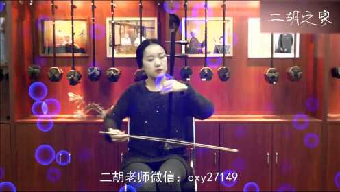 宋飞二胡教学视频-梁祝-二胡多少钱一把