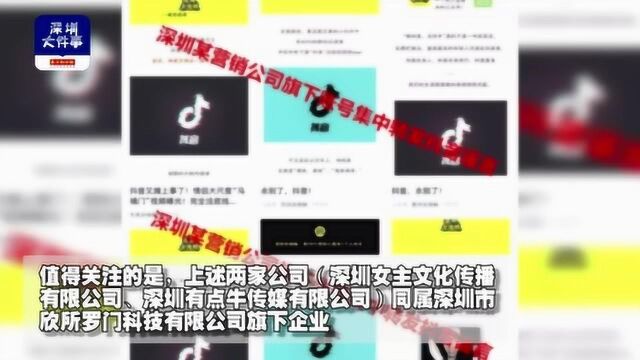 抖音被批量做号轮番遭黑 三传谣公司深圳注册同一地址