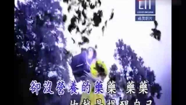 于光中作词 张韶涵演唱  潘朵拉  音乐 在线播放