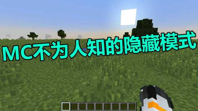 我的世界 Minecraft MC不为人知的9种隐藏模式