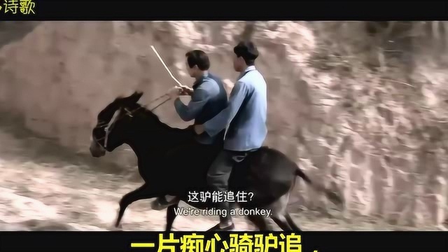 心心诗歌电影《美姐》2012年郝杰导演乡村爱情片