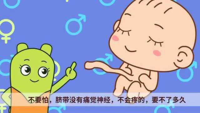 咕力咕力动画片:肚脐的秘密 宝宝动画片