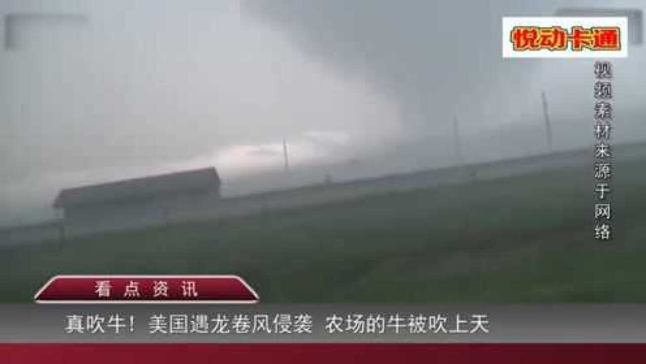 牛吹上天!美国遇龙卷风侵袭 农场的动物被卷入空中 牛群被吹上天