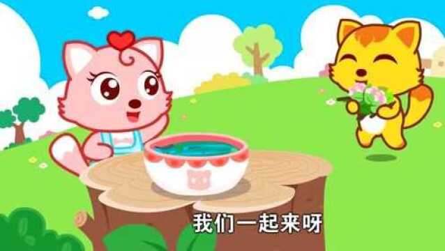 猫小帅儿歌益智早教:煮面条