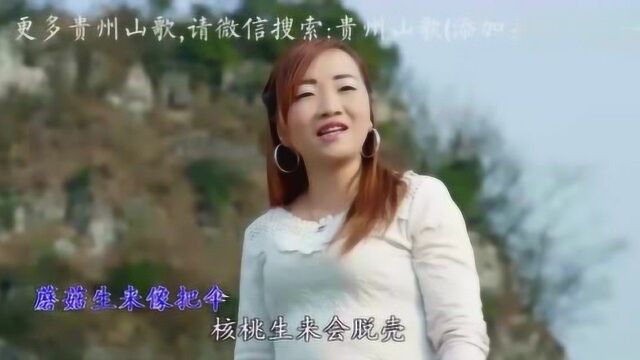 贵州山歌贵州民谣纳雍小调九版十三腔第一版