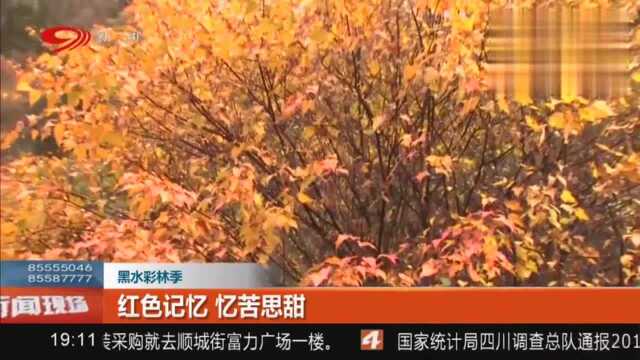 成都市教育局辟谣:“华赛奥赛”没有解禁