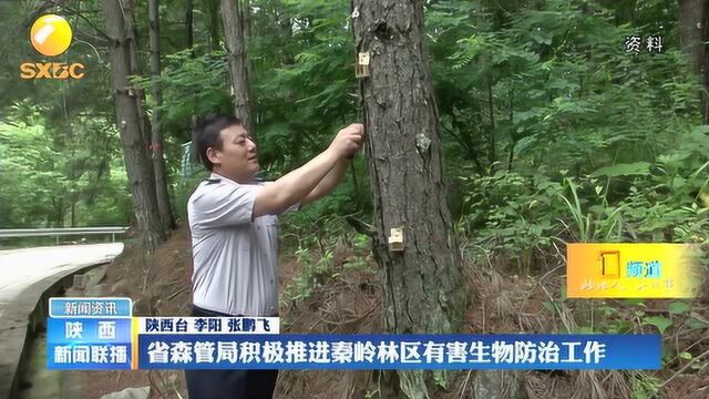 陕西省森管局积极推进秦岭林区有害生物防治工作