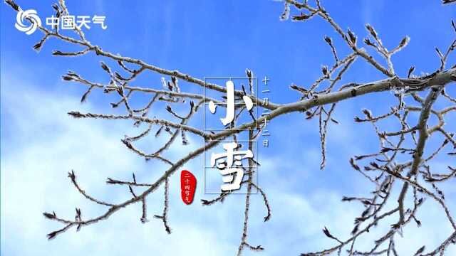 小雪初降 寒冬将至