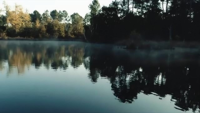 微观动态之美,大自然自身的风景,一切充满祥和