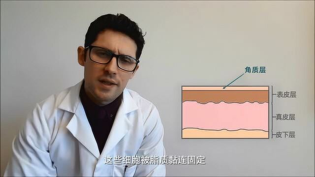 欧瑞莲科学护肤小课堂关于肌肤保湿