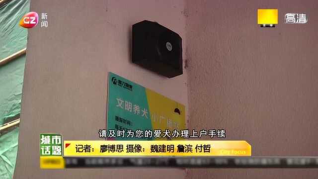 《城市话题》——狗狗1